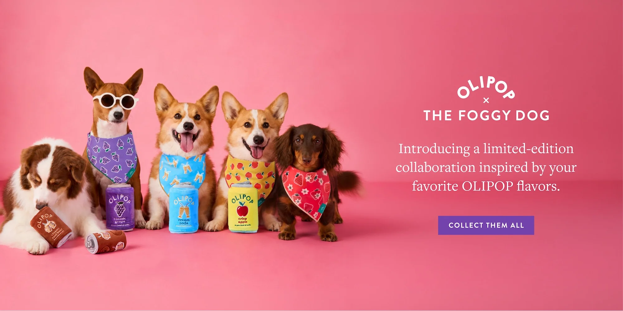 Modern Style for Modern Paws